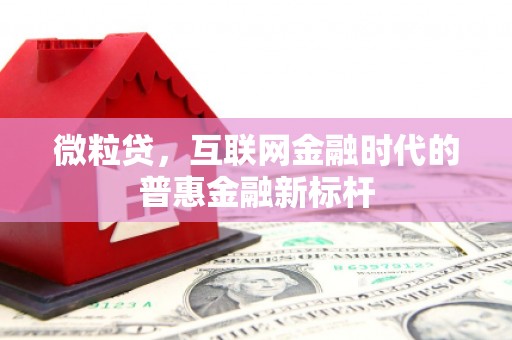 辽源微粒贷，互联网金融时代的普惠金融新标杆