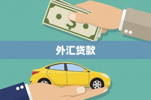 辽源外汇贷款