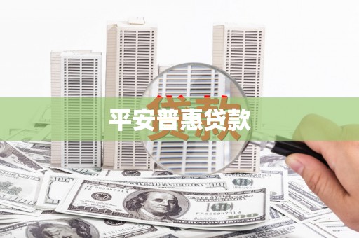 辽源平安普惠贷款