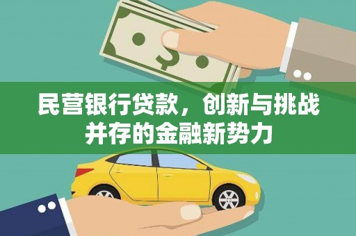 辽源民营银行贷款，创新与挑战并存的金融新势力