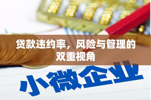 辽源贷款违约率，风险与管理的双重视角