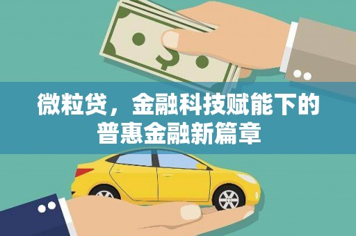 辽源微粒贷，金融科技赋能下的普惠金融新篇章