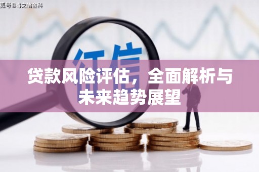 辽源贷款风险评估，全面解析与未来趋势展望