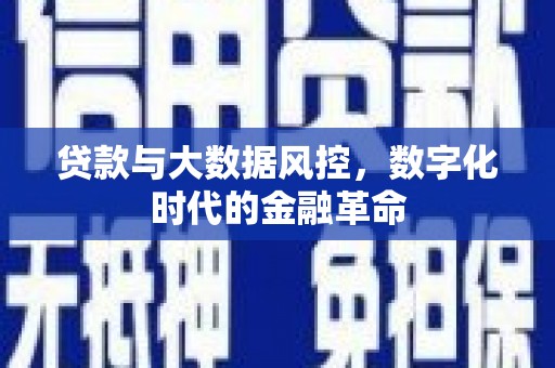 辽源贷款与大数据风控，数字化时代的金融革命