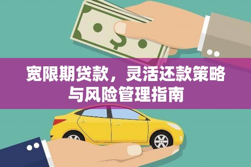 辽源宽限期贷款，灵活还款策略与风险管理指南