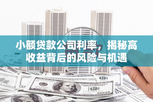 辽源小额贷款公司利率，揭秘高收益背后的风险与机遇