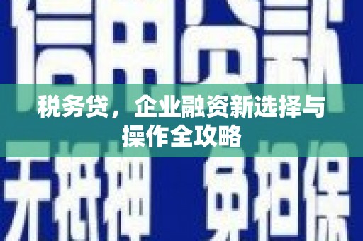 辽源税务贷，企业融资新选择与操作全攻略