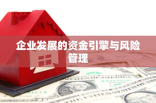 辽源企业发展的资金引擎与风险管理