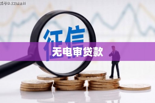 辽源无电审贷款