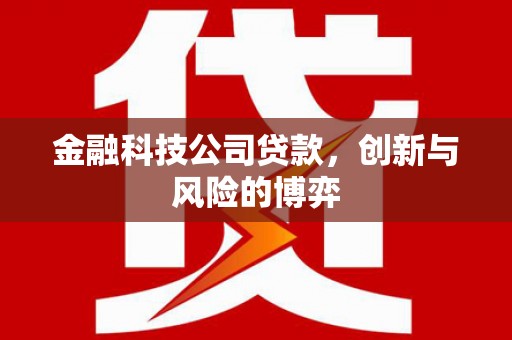 辽源金融科技公司贷款，创新与风险的博弈