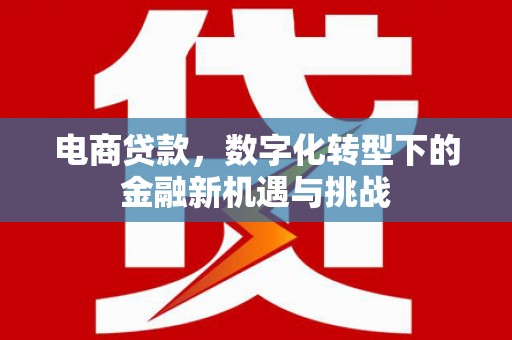 辽源电商贷款，数字化转型下的金融新机遇与挑战