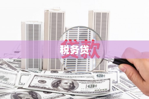 辽源税务贷