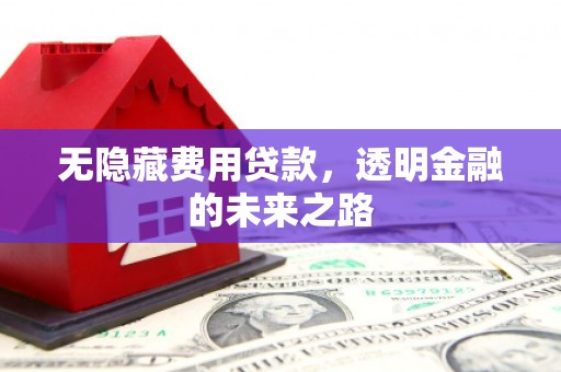 辽源无隐藏费用贷款，透明金融的未来之路