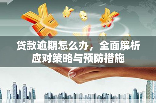 辽源贷款逾期怎么办，全面解析应对策略与预防措施