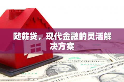 辽源随薪贷，现代金融的灵活解决方案