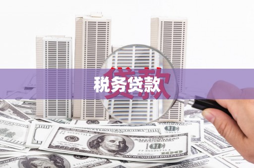 辽源税务贷款
