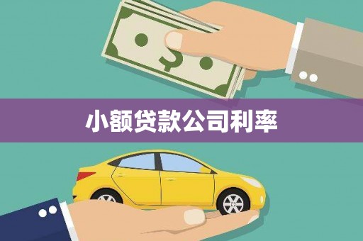 辽源小额贷款公司利率