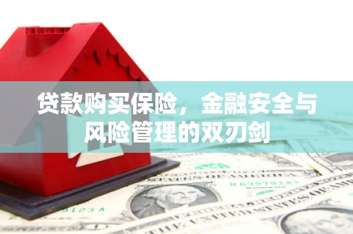 辽源贷款购买保险，金融安全与风险管理的双刃剑