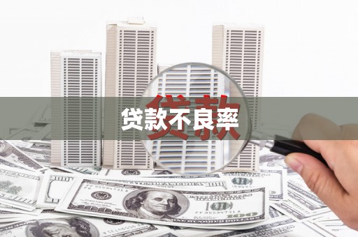 辽源贷款不良率