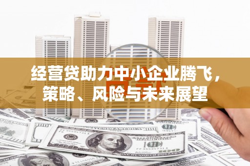 辽源经营贷助力中小企业腾飞，策略、风险与未来展望