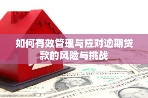 辽源如何有效管理与应对逾期贷款的风险与挑战