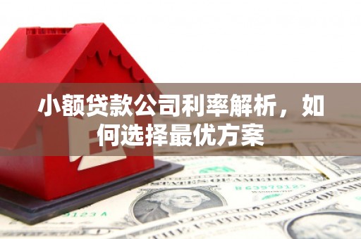 辽源小额贷款公司利率解析，如何选择最优方案