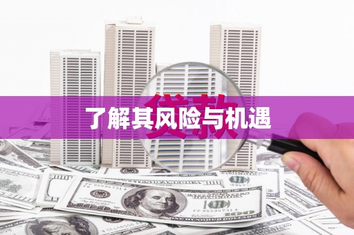 辽源了解其风险与机遇