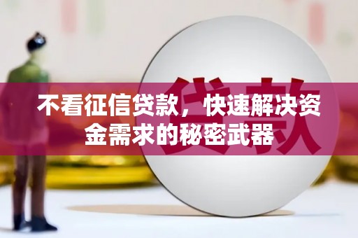 辽源不看征信贷款，快速解决资金需求的秘密武器