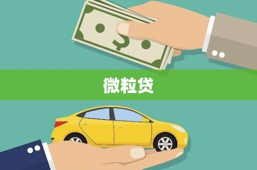 辽源微粒贷