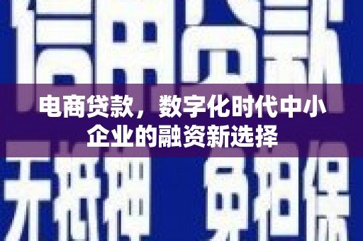 辽源电商贷款，数字化时代中小企业的融资新选择