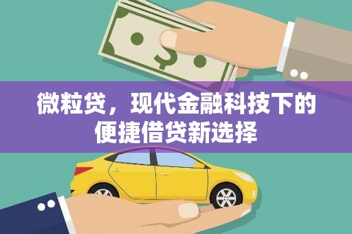 辽源微粒贷，现代金融科技下的便捷借贷新选择