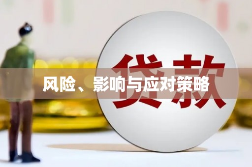 辽源风险、影响与应对策略