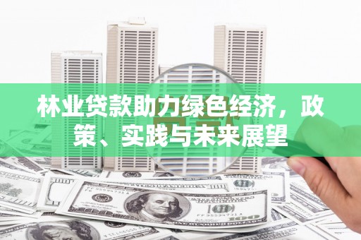 辽源林业贷款助力绿色经济，政策、实践与未来展望
