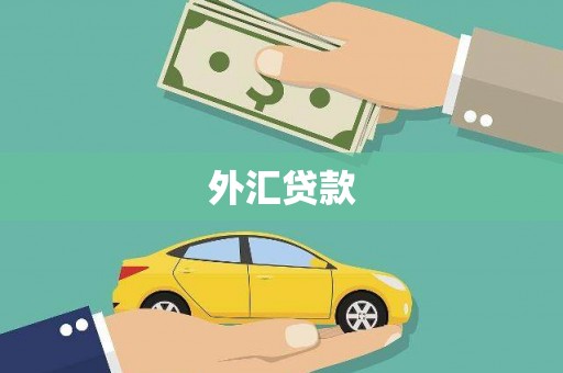 辽源外汇贷款
