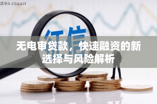 辽源无电审贷款，快速融资的新选择与风险解析