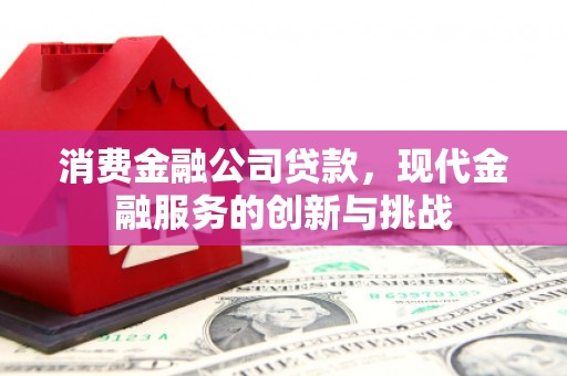 辽源消费金融公司贷款，现代金融服务的创新与挑战
