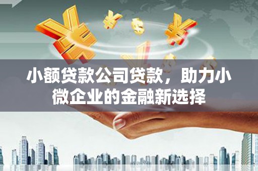 辽源小额贷款公司贷款，助力小微企业的金融新选择