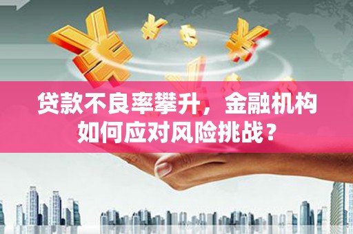 辽源贷款不良率攀升，金融机构如何应对风险挑战？