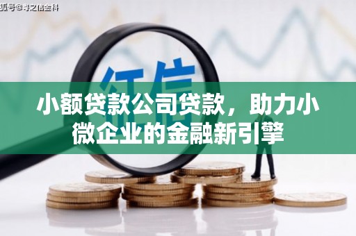 辽源小额贷款公司贷款，助力小微企业的金融新引擎