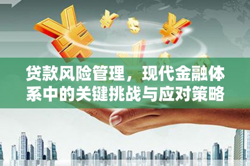 辽源贷款风险管理，现代金融体系中的关键挑战与应对策略