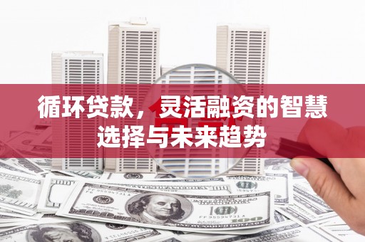 辽源循环贷款，灵活融资的智慧选择与未来趋势