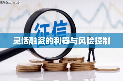 辽源灵活融资的利器与风险控制