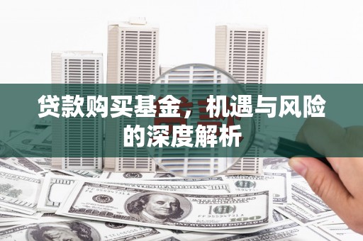 辽源贷款购买基金，机遇与风险的深度解析