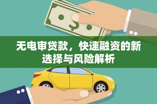 辽源无电审贷款，快速融资的新选择与风险解析