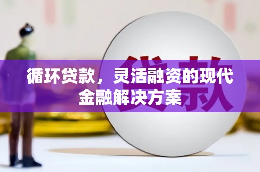 辽源循环贷款，灵活融资的现代金融解决方案