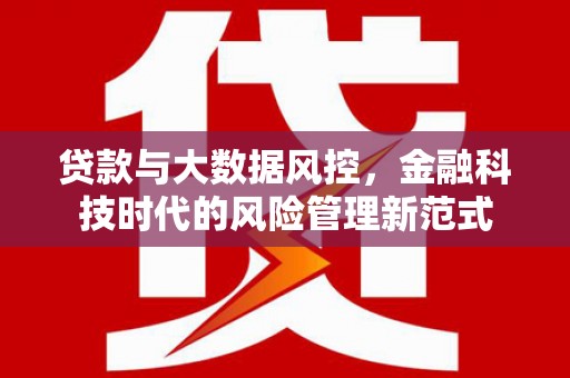 辽源贷款与大数据风控，金融科技时代的风险管理新范式