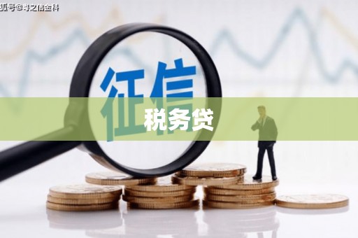 辽源税务贷