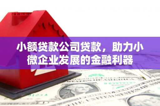 辽源小额贷款公司贷款，助力小微企业发展的金融利器