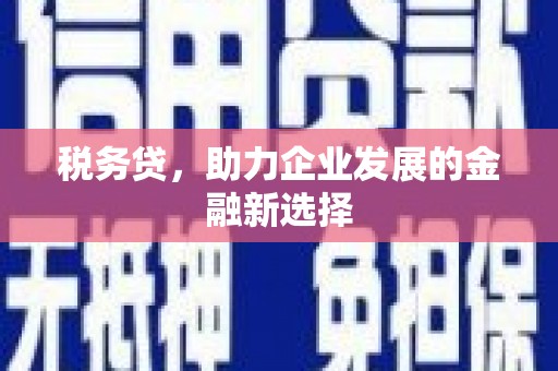 辽源税务贷，助力企业发展的金融新选择