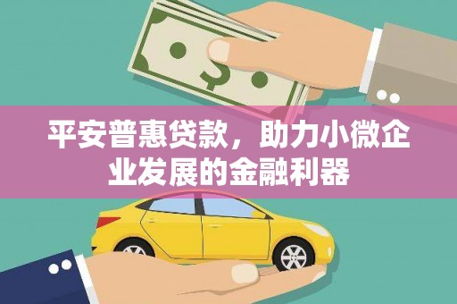 辽源平安普惠贷款，助力小微企业发展的金融利器
